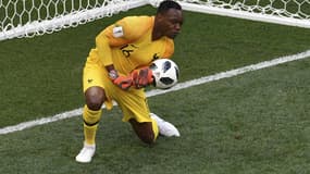 Steve Mandanda.
