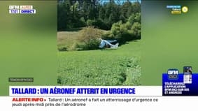 Hautes-Alpes: un aéronef atterrit en urgence à Tallard