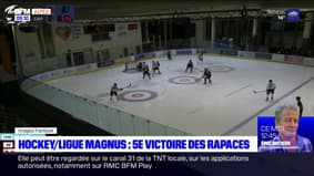 Ligue Magnus: les Rapaces de Gap écrasent Nice 3-0