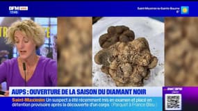 Dans votre assiette du jeudi 5 décembre - Aups : Ouverture de la saison du diamant noir 
