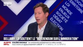 Signer la pétition de Philippe de Villiers pour avoir un référendum sur l'immigration? "Je peux le faire sans aucun problème", affirme François-Xavier Bellamy (LR)