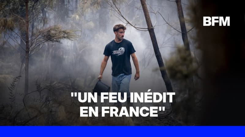 Incendies en Gironde: les autorités indiquent qu'il s'agit d'un feu "jamais vu en France"