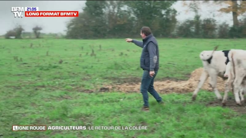 LIGNE ROUGE - Comment l'accord avec le Mercosur a relancé la colère des agriculteurs