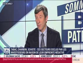 Sommet BFM Patrimoine: Ces secteurs exclus par les investisseurs en raison de leur empreinte négative - 08/11