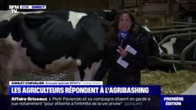 Cet agriculteur utilise les réseaux sociaux pour répondre à l'agribashing