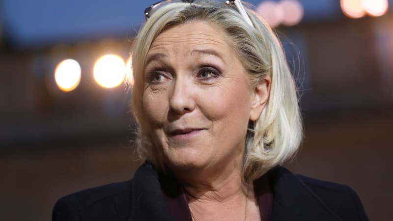 La députée et présidente du Rassemblement national Marine Le Pen, le 6 février 2019 à la sortie de l'Elysée à Paris. 