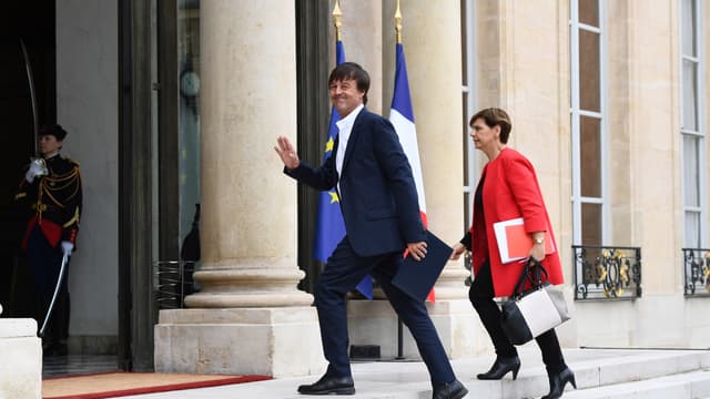 Nicolas Hulot, ministre de la Transition écologique et solidaire, arrive à l'Elysée avant le premier Conseil des ministres, le 18 mai 2017 à Paris.