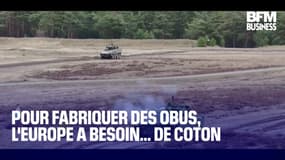 Pour fabriquer des obus, l'Europe a besoin… de coton