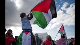 Reconnaissance - Palestine : des Palestiniens de France se confient