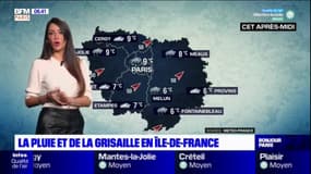 Météo en Île-de-France: de la grisaille et de la pluie pour ce mardi 30 novembre