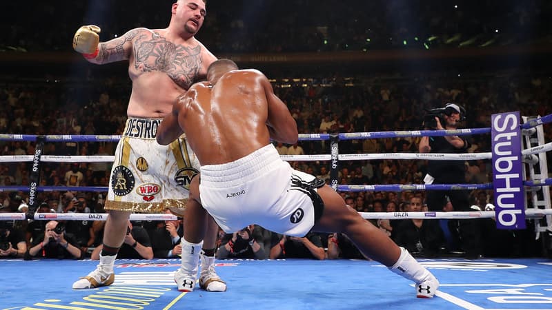 Anthony Joshua terrassé par Andy Ruiz.