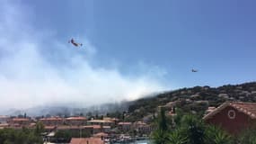 Var : feu de forêt à Saint-Mandrier - Témoins BFMTV