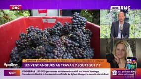 Vendanges : Christine Sévillano, présidente de la Fédération des vignerons indépendants de Champagne réagit à la fin du repos hebdomadaire obligatoire 