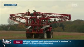 Ré-autorisation des pesticides néo-nicotinoïdes: l'exécutif critiqué même par sa majorité