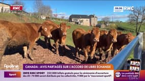 Canada : avis partagés sur l'accord de libre-échange