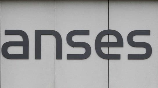 L'Agence nationale de sécurité sanitaire (Anses) a annoncé lundi l'interdiction des produits à base de métam-sodium.