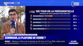 "C'est tout sauf un coup d'arrêt": Dénis Cieslik (membre des "amis d'Éric Zemmour") pas inquiet des derniers sondages