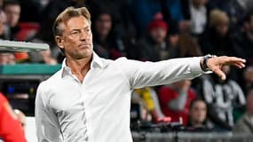 Hervé Renard donne ses consignes lors de France-Maroc au Mondial 2023