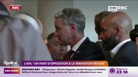 L'AfD, "un parti d'opposition à la transition réussie"