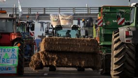 Des agriculteurs manifestent le 22 janvier 2024 à Carbonne près de Toulouse, bloquant l'A64.