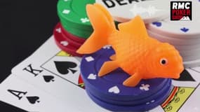 RMC Poker show : Dans la tête d'un fish du 20 novembre