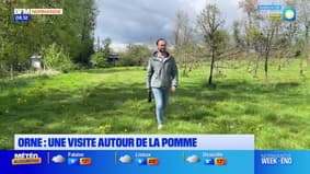 Balades Normandes du samedi 26 avril 2025