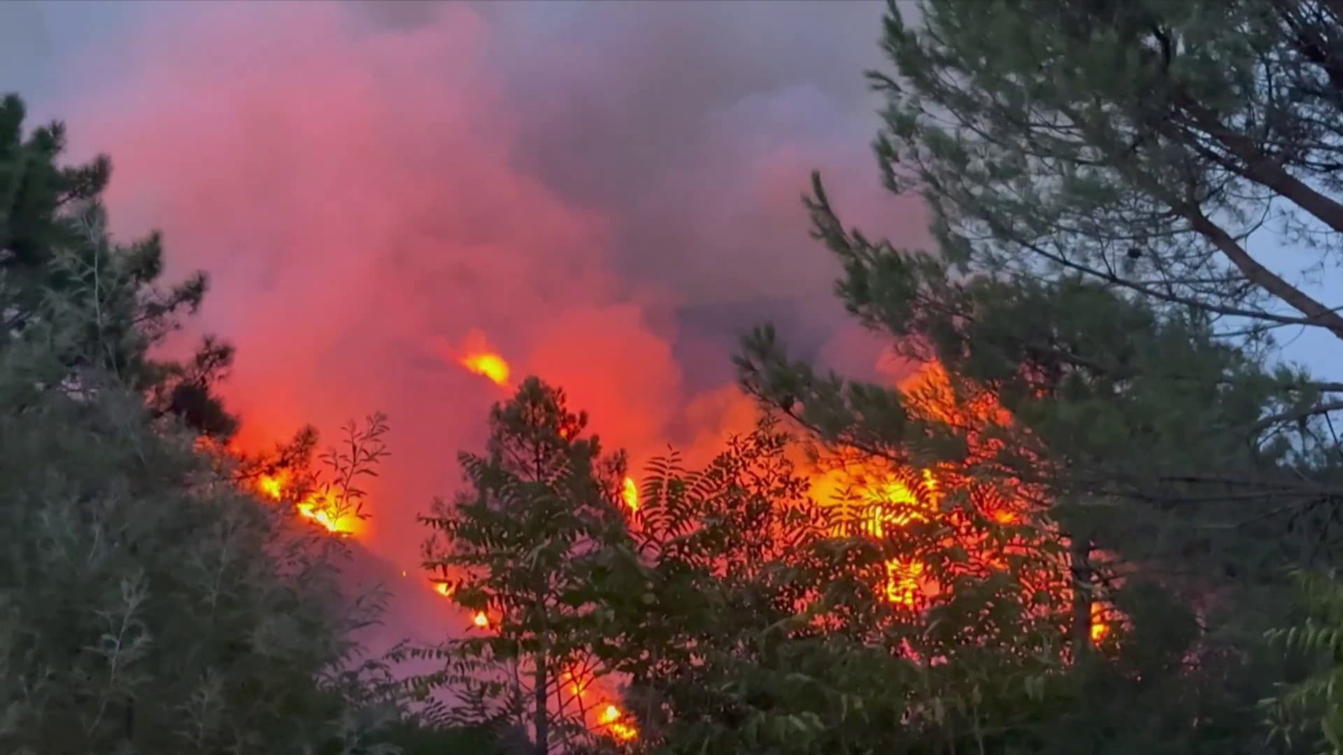 UN INCENDIE PARCOURT 30 HECTARES EN CORSE