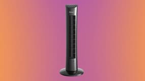 Avec plus de 6 000 avis Amazon, ce ventilateur à petit prix fait un véritable carton