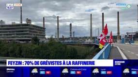 Feyzin : 70% de grévistes à la raffinerie