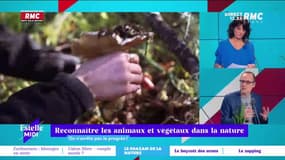 C’est quoi le progrès ? : Reconnaître les animaux et végétaux dans la nature - 21/03