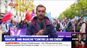 "C'est une lutte contre la vie chère": des milliers de manifestants sont présents à la manifestation de la Nupes