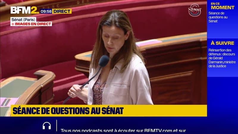 Combats de coqs : débats autour de 