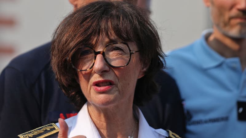 Ancienne journaliste, romancière, énarque... Sophie Brocas, une préfète confrontée à l'incendie en Gironde