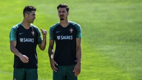 Fonte - Ronaldo