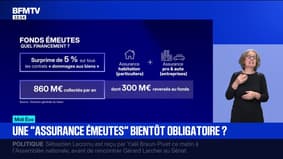 Une "assurance émeutes" bientôt obligatoire?
