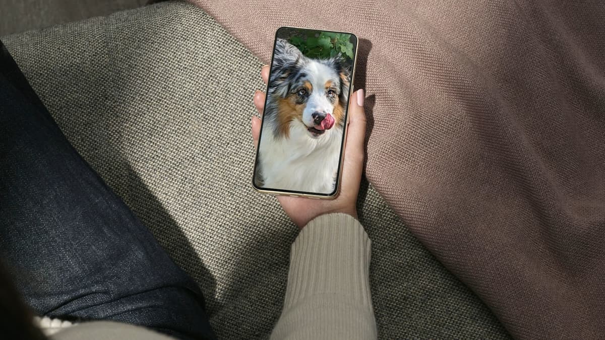 placeholder video