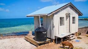 Une île est à vendre au Belize. 