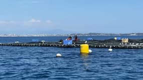 La nouvelle ferme aquacole inquiète les pêcheurs.