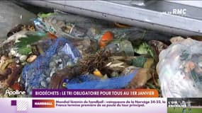 Biodéchets : le tri obligatoire pour tous au 1er janvier