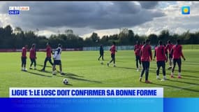 Ligue 1: Le Losc doit confirmer sa bonne forme 