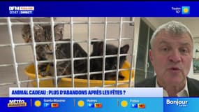 L'invité de Bonjour Var du vendredi 5 décembre 2025 - Jean-Charles Fombonne