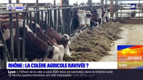 Rhône: les agriculteurs veulent maintenir la pression sur le gouvernement, plusieurs actions prévues cette semaine