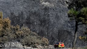 Des pompiers circulent dans une forêt dévastée par les flammes, le 8 août 2025 dans l'Aude