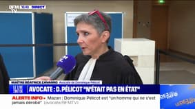 "Il ne s'agit pas, aujourd'hui, de définir une nouvelle facette [de ce qu'est un] viol", déclare l'avocate de Dominique Pélicot