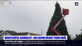 A Neufchâtel-Hardelot, dans le Pas-de-Calais, un sapin géant de 12 mètres de haut installé pour Noël
