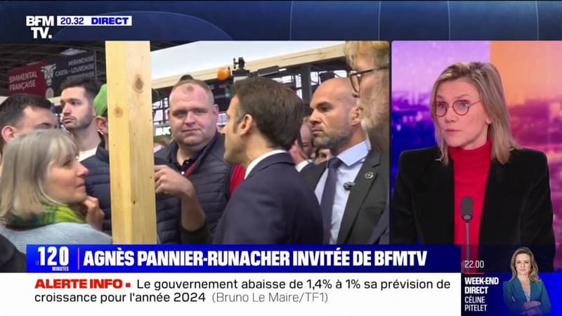 Agnès Pannier-Runacher: 