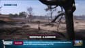 Les ravages des incendies dans le Gard