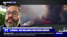 "La fumée est assez dense, on ne peut pas rester trop longtemps à l'extérieur": Le témoignage d'un résident de Kelowna, ville du nord-ouest du Canada menacée par un important feu de forêt