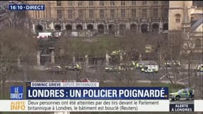 Londres : un député témoigne qu’"un homme a essayé de pénétrer l’enceinte du Parlement et a été abattu"