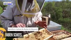 Ma région, mes services : L'apiculture dans les monts du Lyonnais